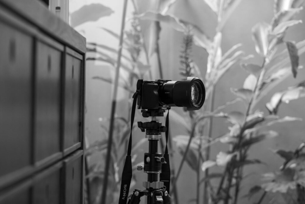 Por que atualizar as fotos e vídeos do seu hotel regularmente?